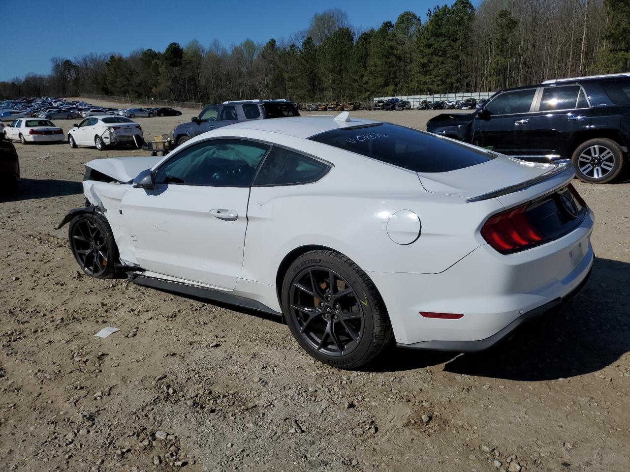 1FA6P8TD2P5100896 FORD ALL Models 2023