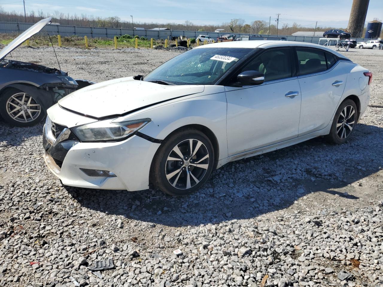 1N4AA6AP1GC406495 NISSAN MAXIMA 2016