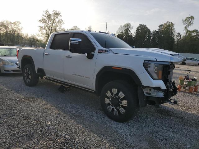 2024 GMC Sierra K2500 Denali VIN: 1GT49REY3RF127474 Lot: 46465884