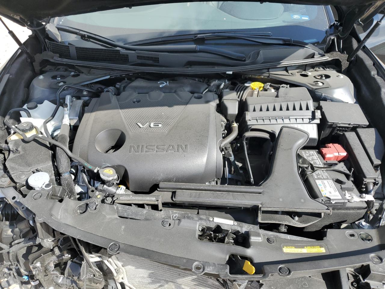 1N4AA6EV2PC513130 NISSAN MAXIMA 2023