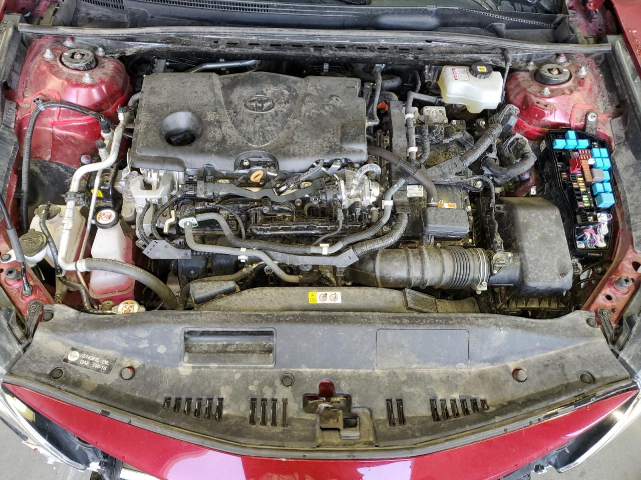 4T1C31AK0MU569841 TOYOTA CAMRY 2021