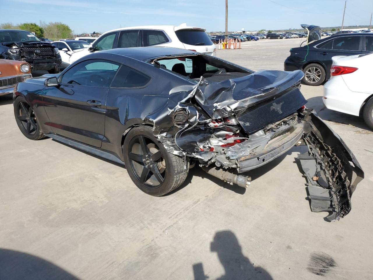 1FA6P8AM3G5317246 FORD ALL Models 2016