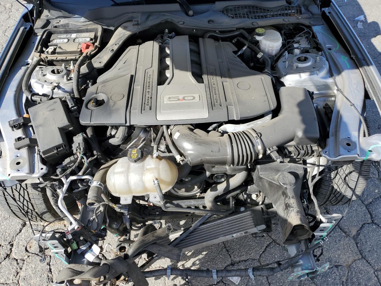 1FA6P8CF2L5182124 FORD MUSTANG 2020