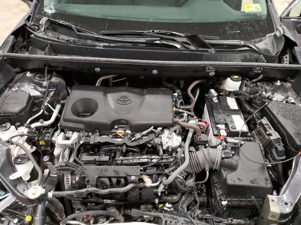 2T3P1RFV4NW287509 TOYOTA RAV4 2022