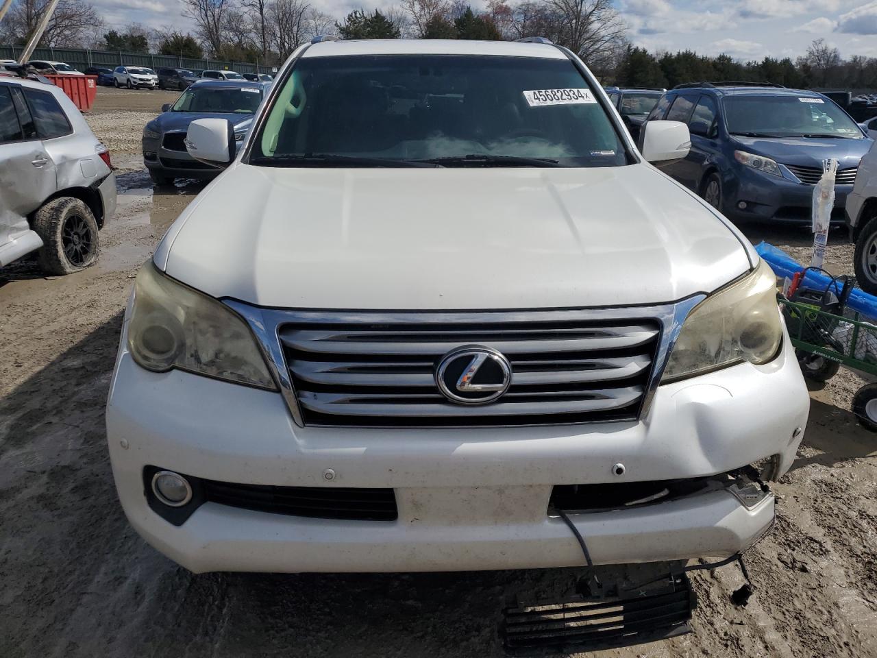 Lot #2684261498 2010 LEXUS GX 460