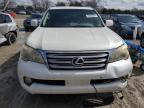 LEXUS GX 460 снимка