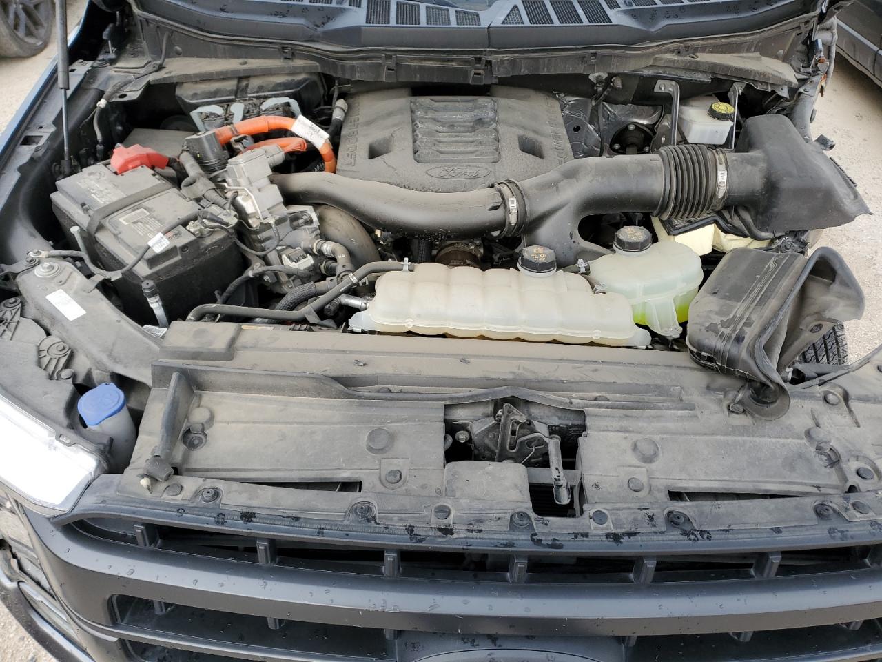 1FTFW1CD3MFB42052 FORD F-150 2021