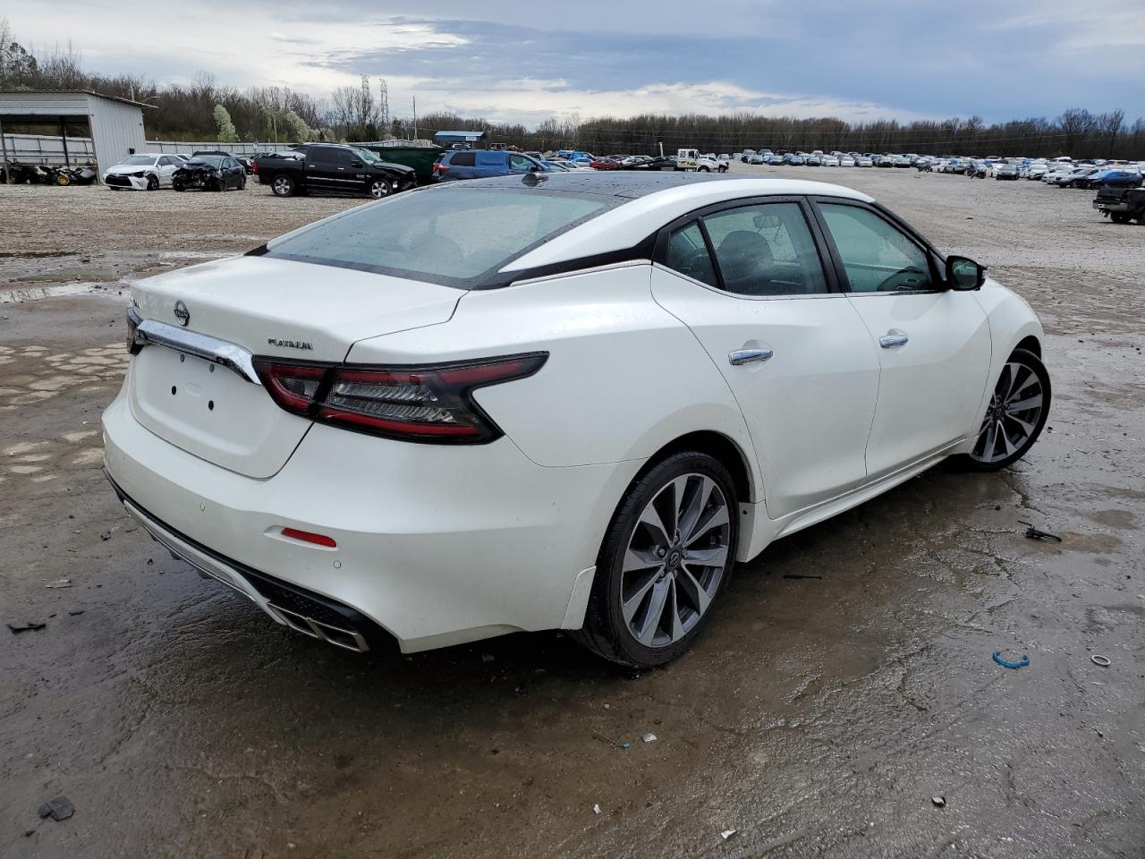 1N4AA6FV1PC504790 NISSAN MAXIMA 2023