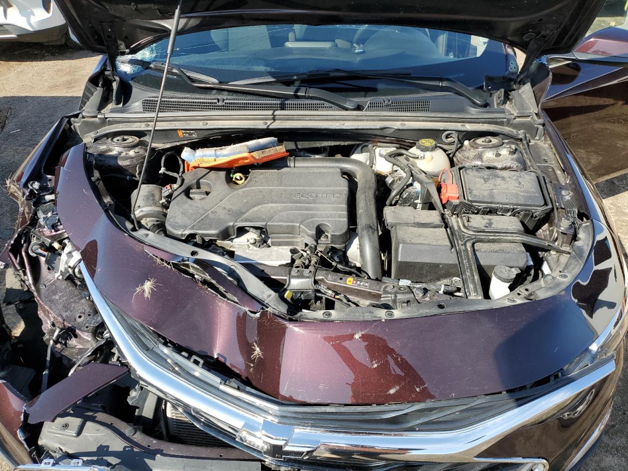 1G1ZG5ST3MF020018 CHEVROLET MALIBU 2021