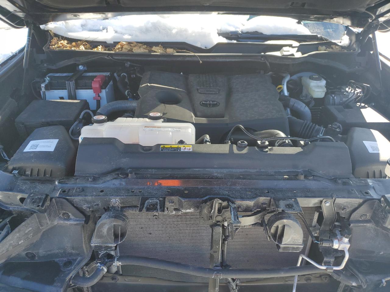 5TFMA5DB0PX120633 TOYOTA TUNDRA 2023