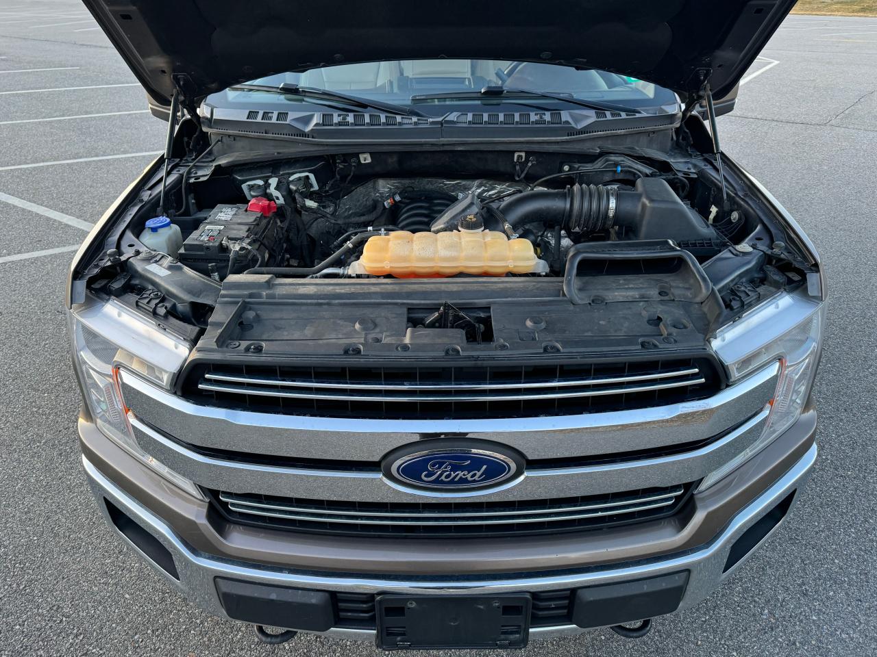 1FTEW1E5XKFA48149 FORD F-150 2019