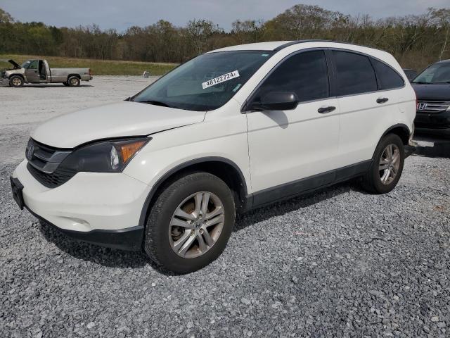 Lot #2436406086 2010 HONDA CR-V LX salvage car