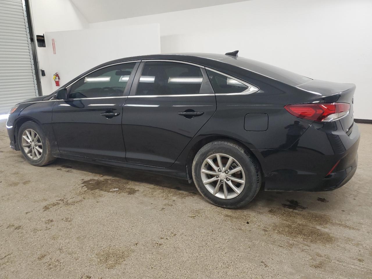 5NPE24AF4KH801742 2019 Hyundai Sonata Se