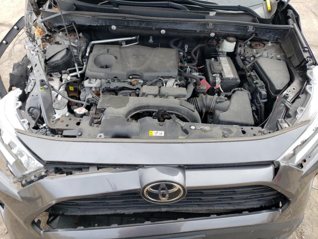 2T3P1RFV8KC048090 TOYOTA RAV4 2019
