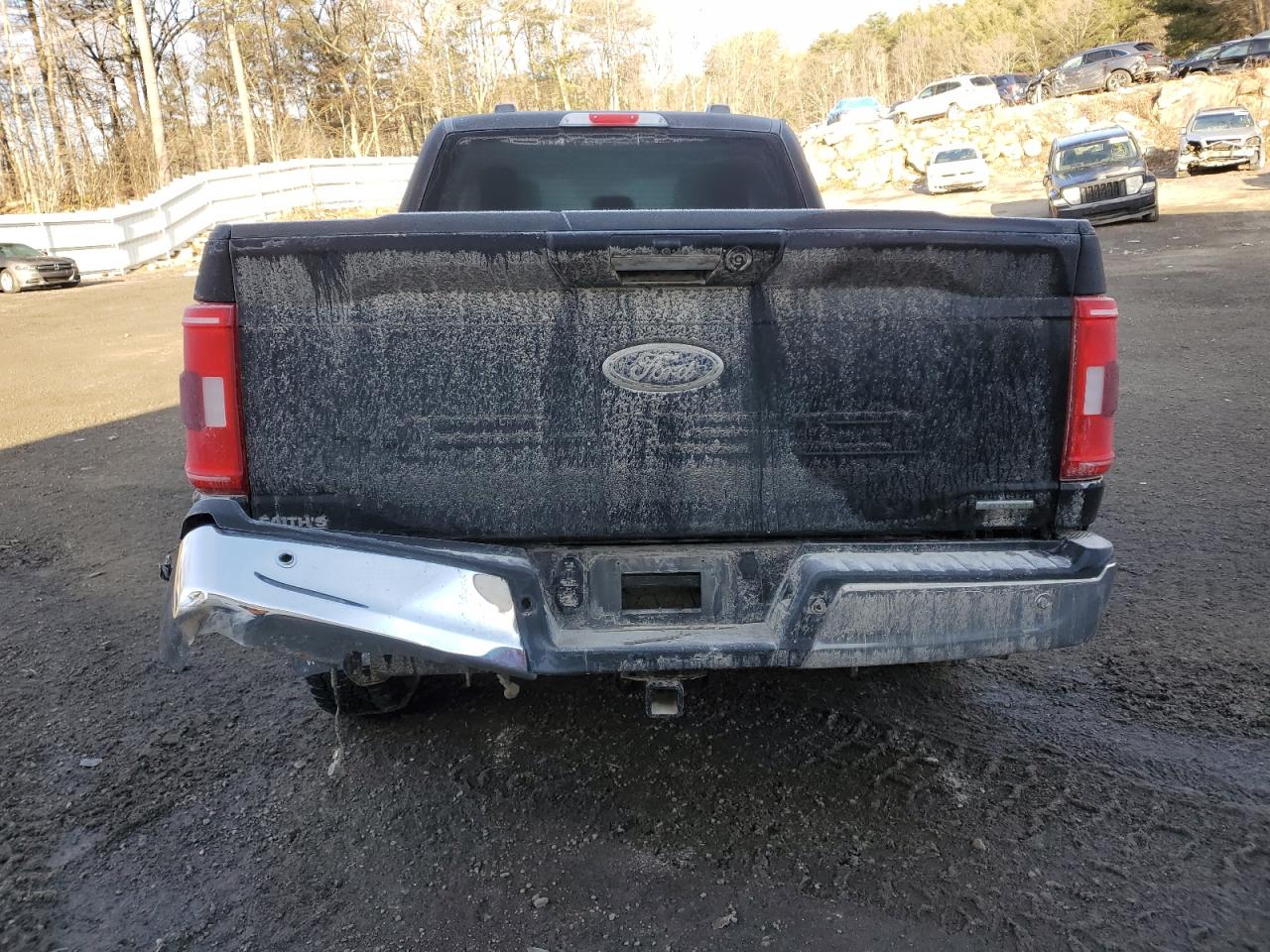 1FTEX1EP1MFB97972 FORD F-150 2021