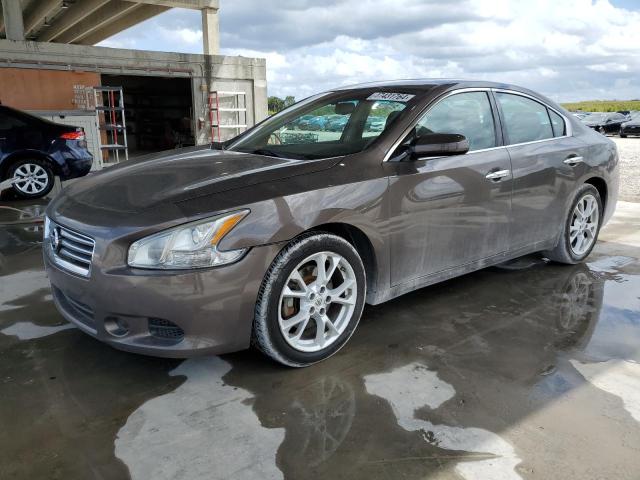 Lot #2486890376 2012 NISSAN MAXIMA S salvage car