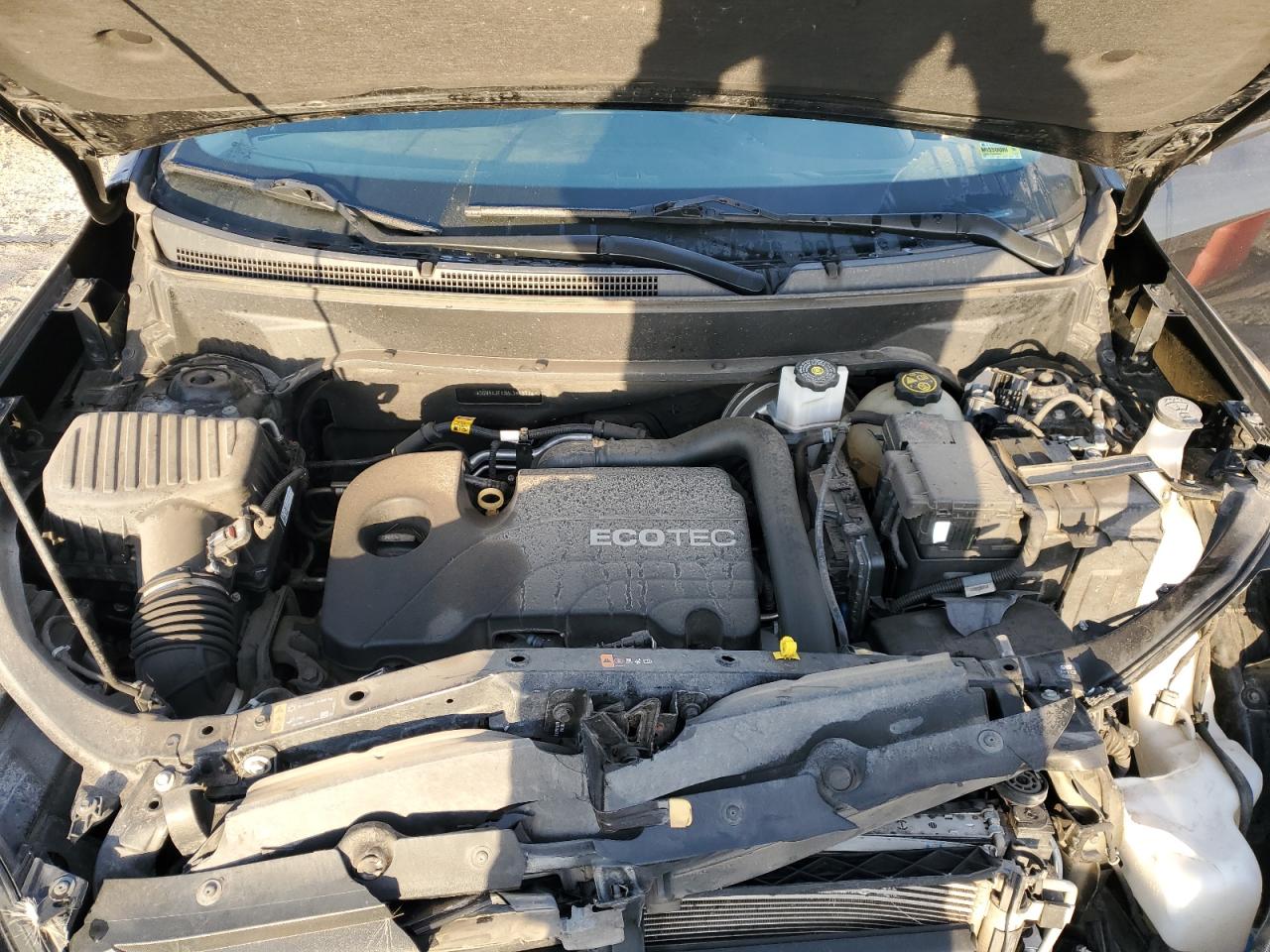 3GNAXJEVXKL356317 CHEVROLET EQUINOX 2019