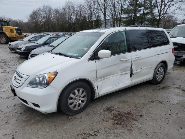 2009 Honda Odyssey Exl VIN: 5FNRL38629B406370 Lot: 50360754