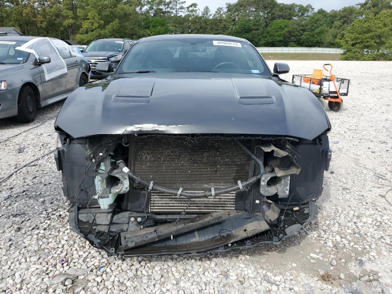 1FA6P8TH1K5168599 FORD ALL Models 2019