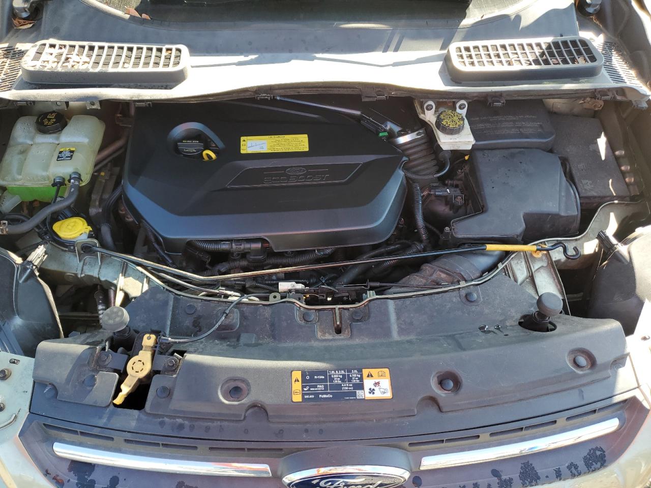 1FMCU9GX6DUA56995 2013 Ford Escape Se 1FMCU9GX6DUA56995 2013 Ford Escape Se