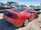 FORD MUSTANG photo