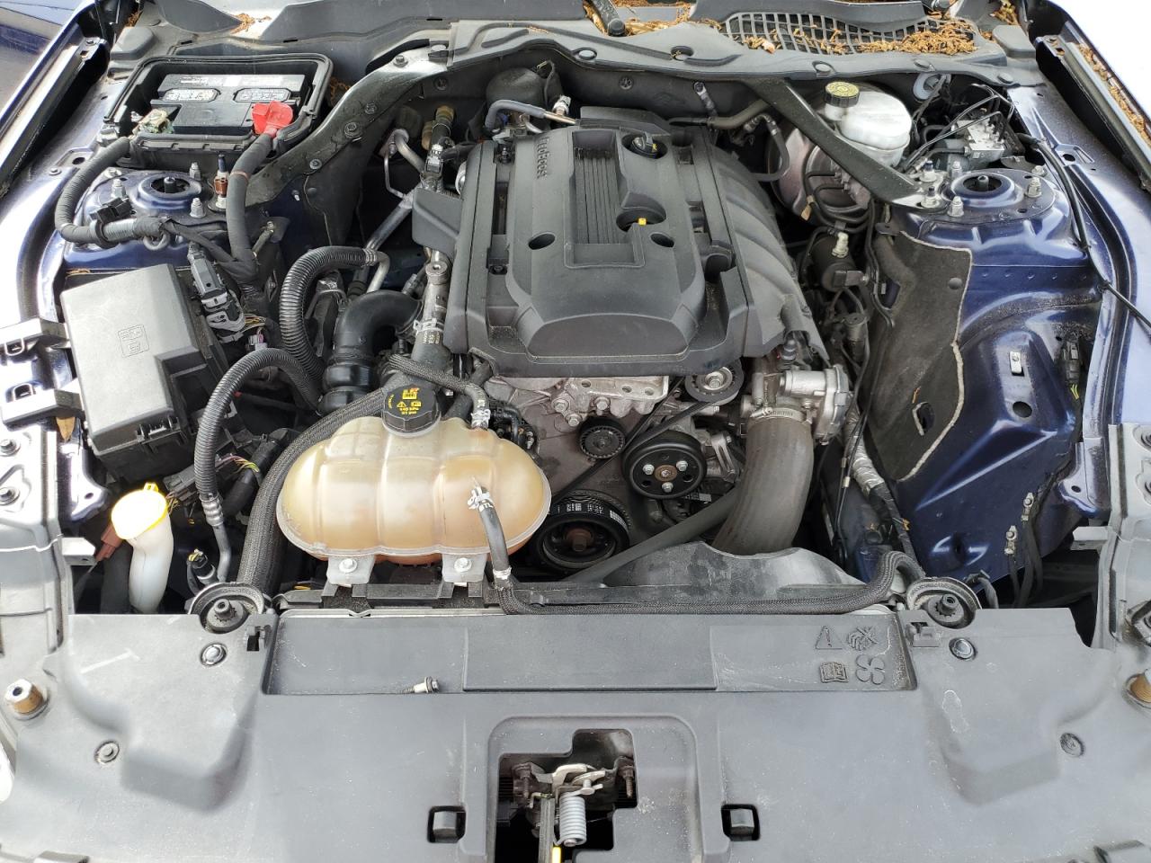 1FATP8UH2K5121129 FORD ALL Models 2019