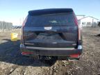 Lot #2786880418 2023 CADILLAC ESCALADE E