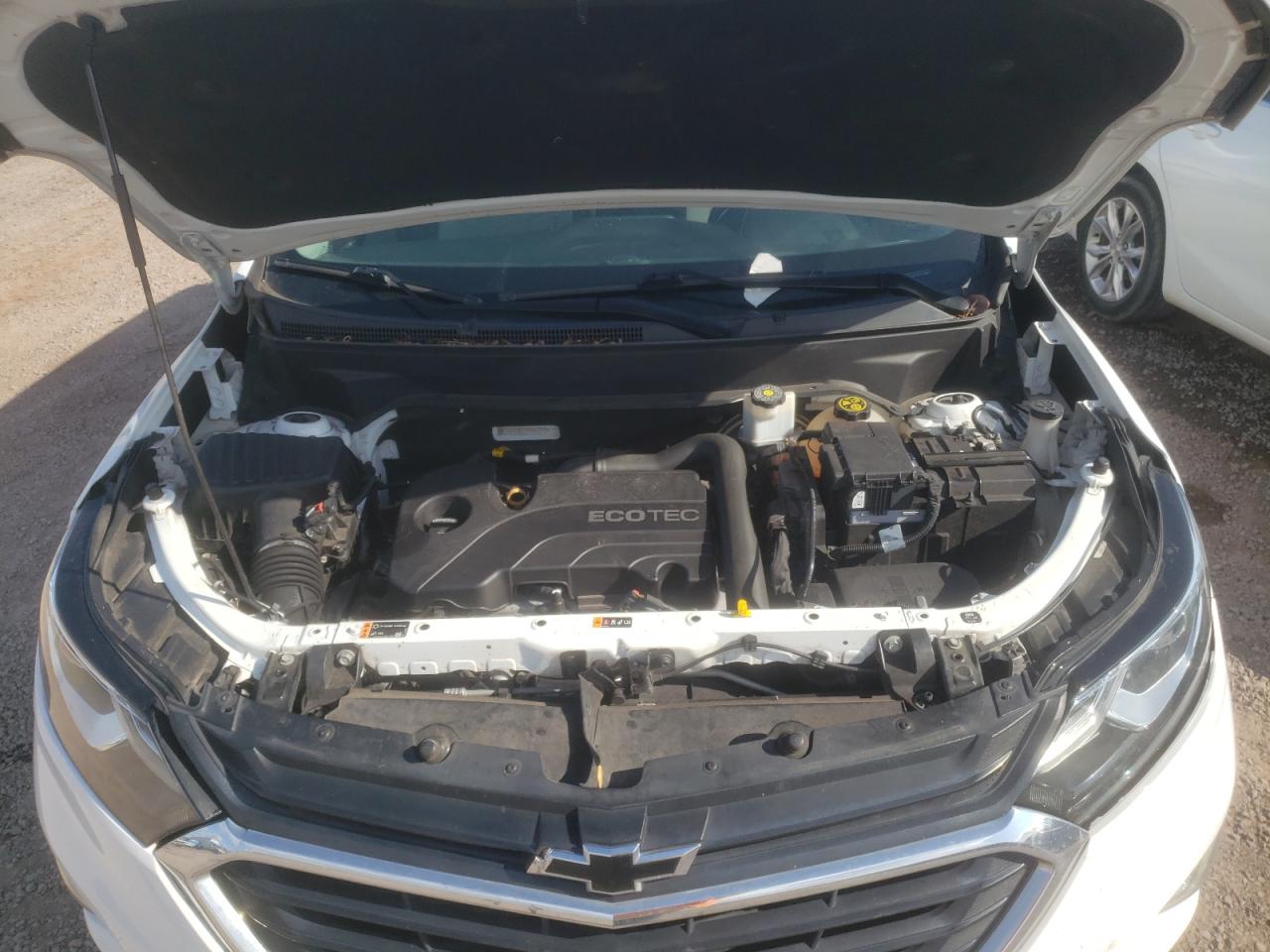 3GNAXHEV9KS557172 2019 Chevrolet Equinox Ls