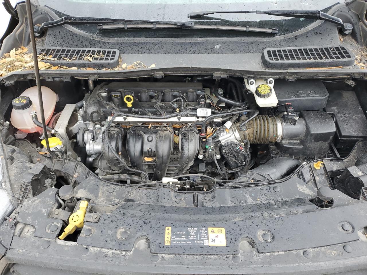1FMCU0F78KUB00196 FORD ESCAPE 2019
