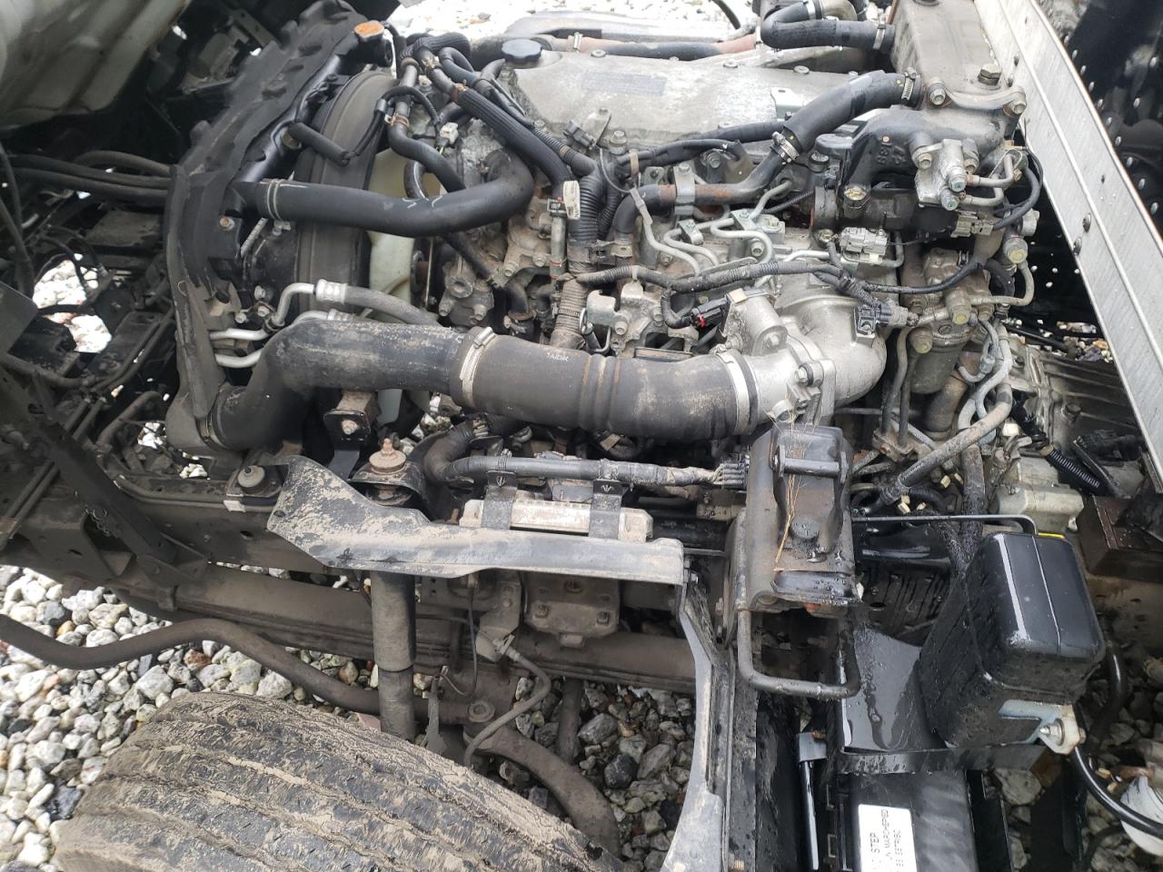 VIN: JALE5W169K7901423 2019 ISUZU All Models