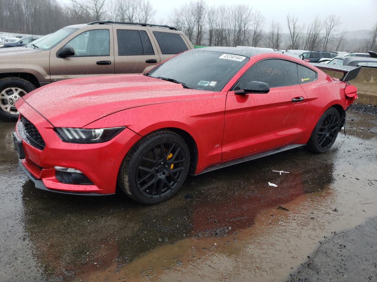 1FA6P8AM4G5316820 FORD ALL Models 2016