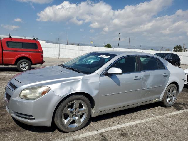 Lot #2427878458 2010 CHEVROLET MALIBU 1LT salvage car