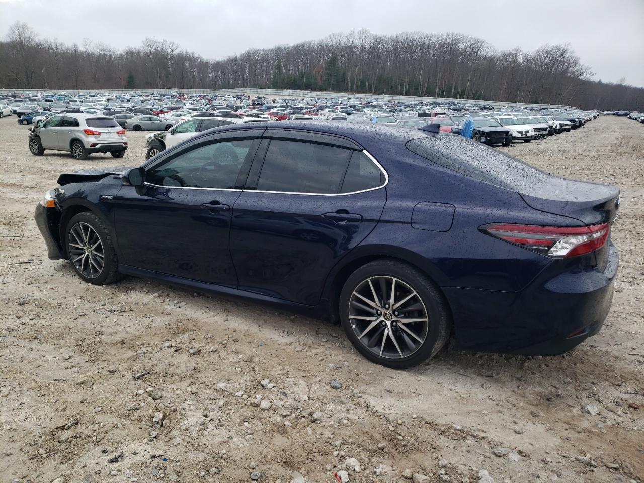 4T1F31AK9MU548581 TOYOTA CAMRY 2021