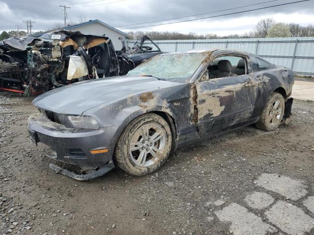 Lot #2443332838 2011 FORD MUSTANG salvage car