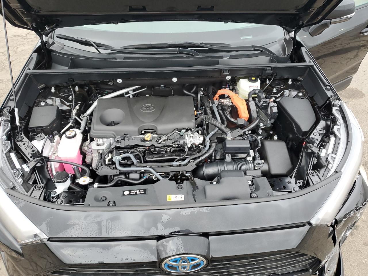 2T3RWRFV8RW206625 TOYOTA RAV4 2024