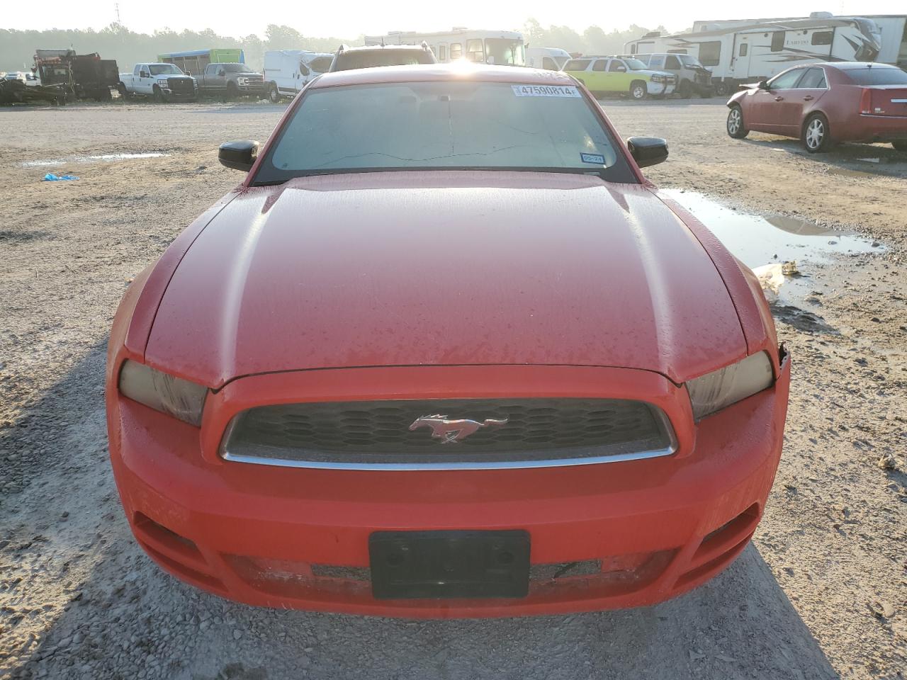 1ZVBP8AM9E5296342 2014 Ford Mustang