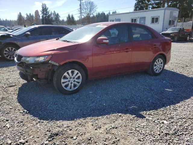 Lot #2421525032 2010 KIA FORTE EX salvage car