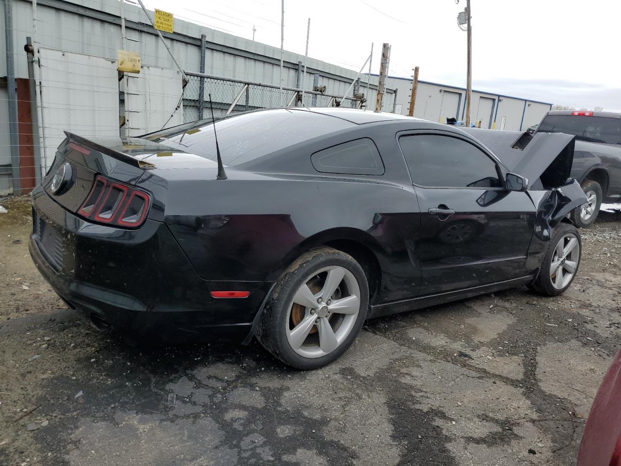 Lot #2485279713 2014 FORD MUSTANG GT