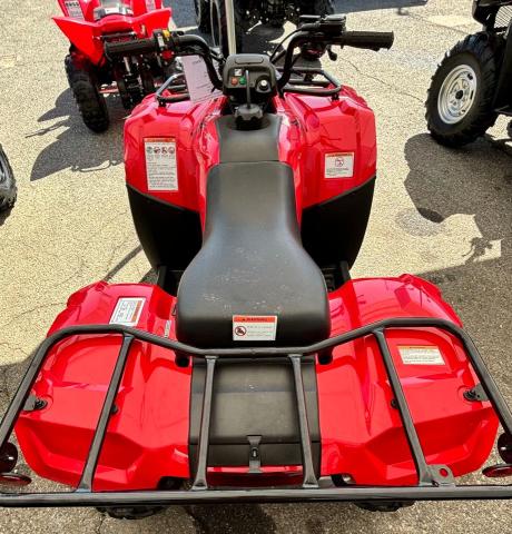 2021 HONDA TRX250 TM 1HFTE21C5M4501327