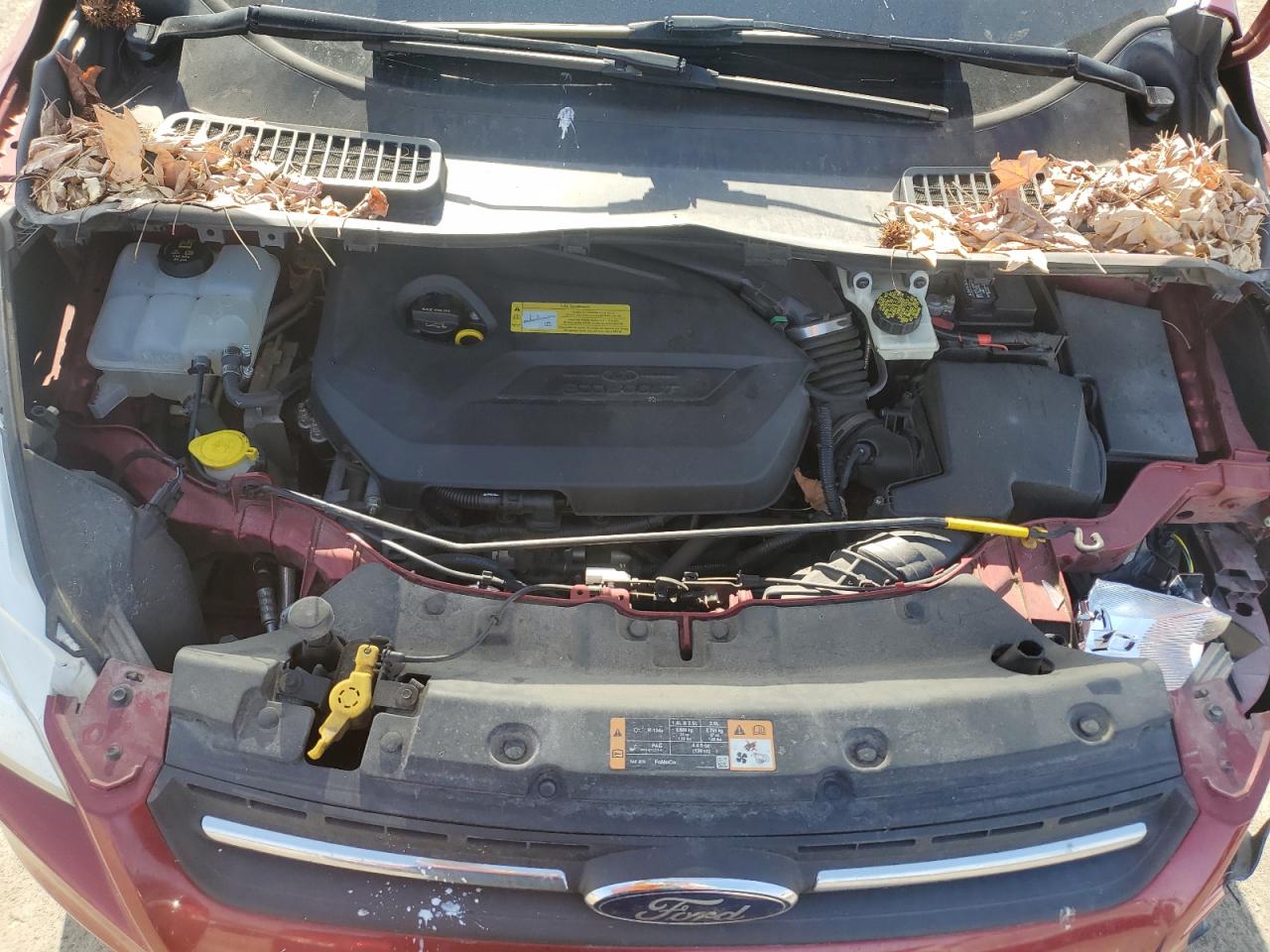 1FMCU0GX6EUA74877 2014 Ford Escape Se