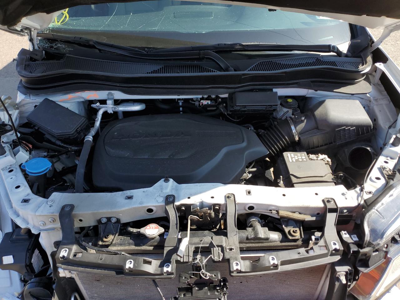 5FNYF6H94MB067246 HONDA PILOT 2021