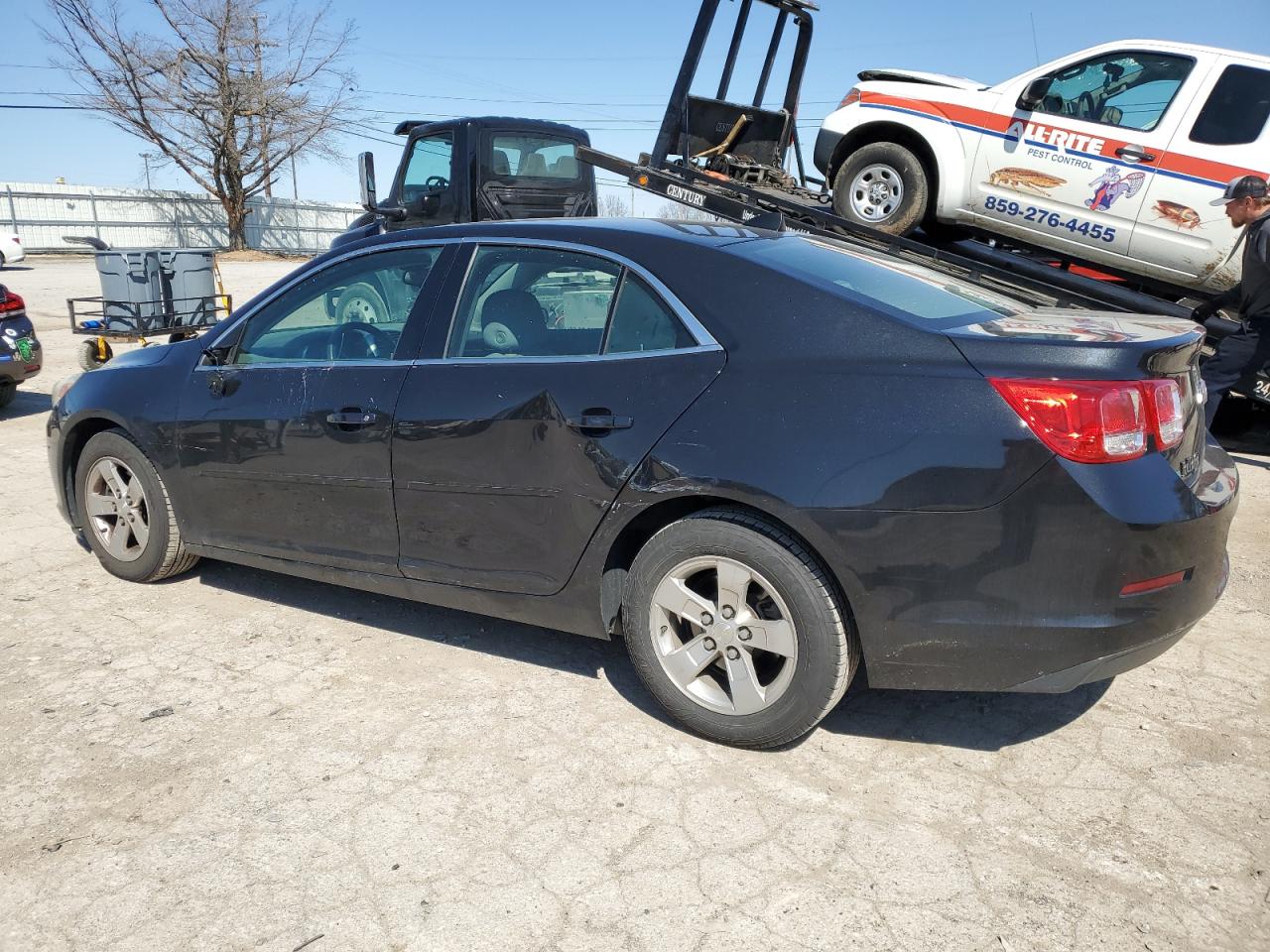 Lot #2423164687 2014 CHEVROLET MALIBU LS