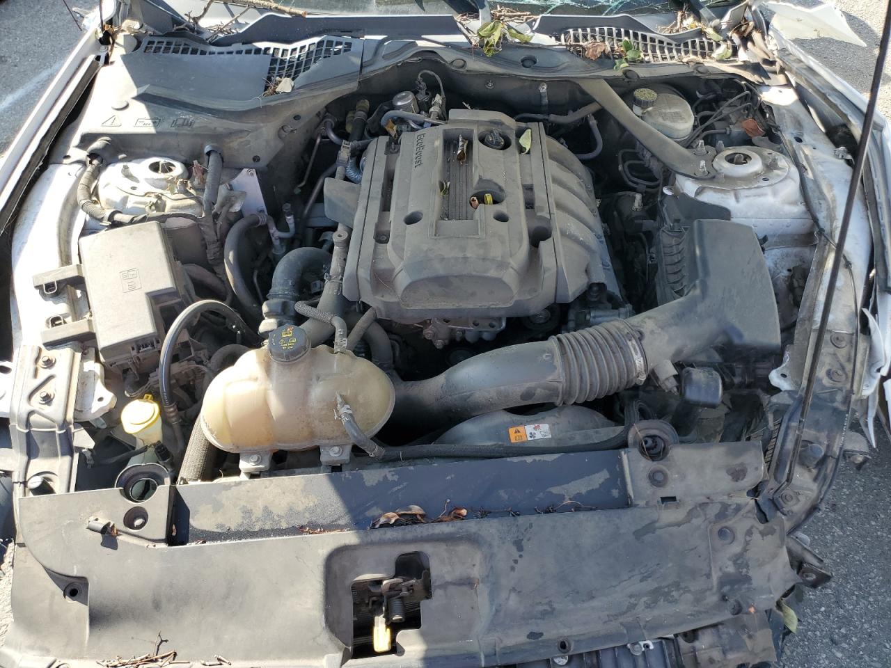1FATP8UH3G5243070 FORD ALL Models 2016
