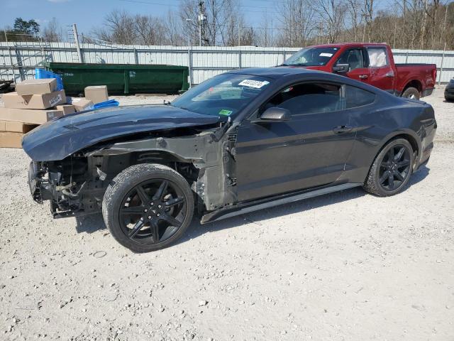 2019 FORD MUSTANG - 1FA6P8TH7K5192177