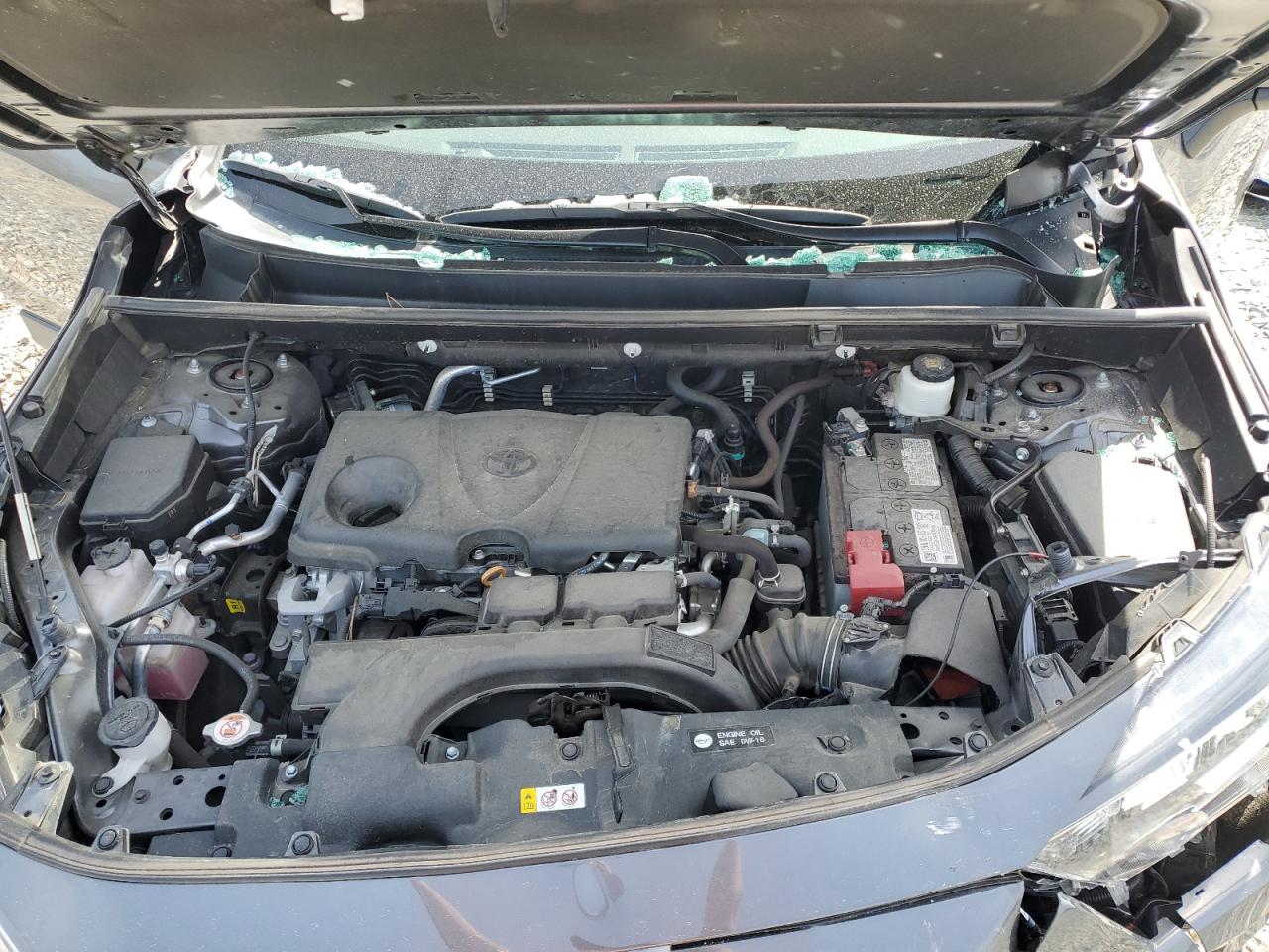 2T3C1RFV9MC113577 TOYOTA RAV4 2021