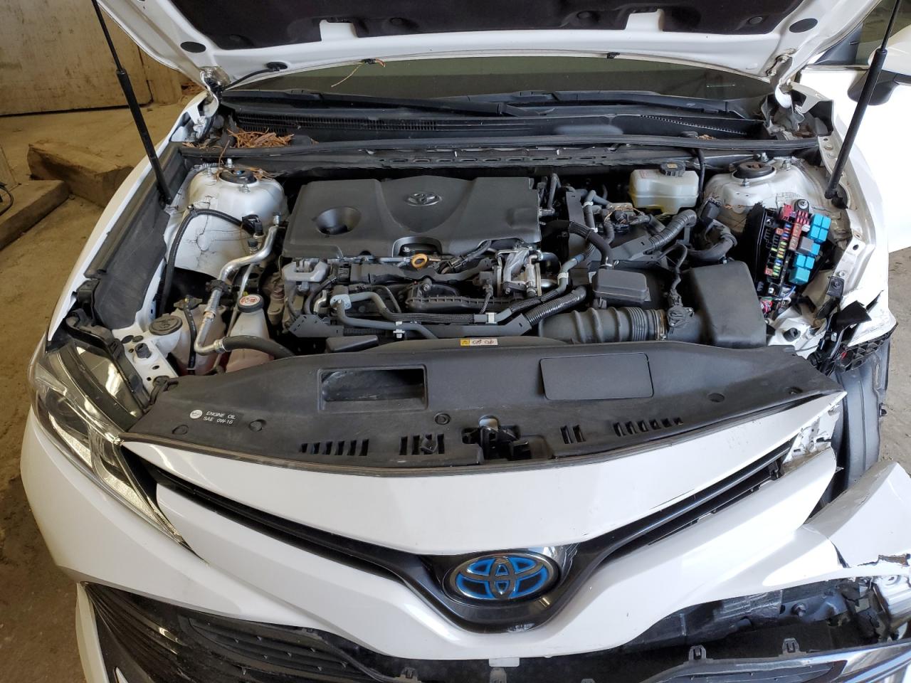 4T1B31HK5KU006539 TOYOTA CAMRY 2019