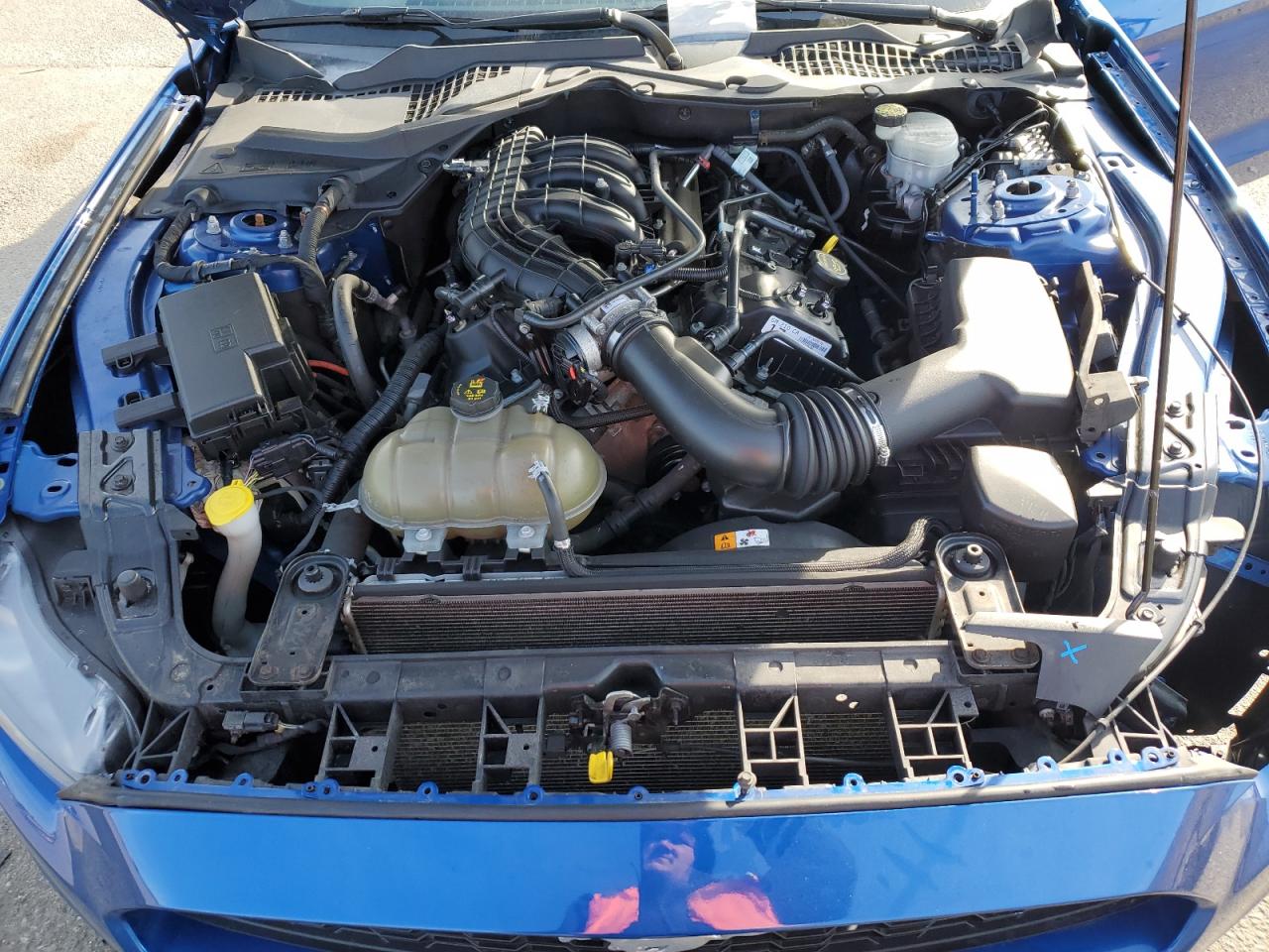 1FA6P8AM8H5238219 FORD ALL Models 2017