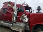 Lot #2993389849 2022 PETERBILT 389