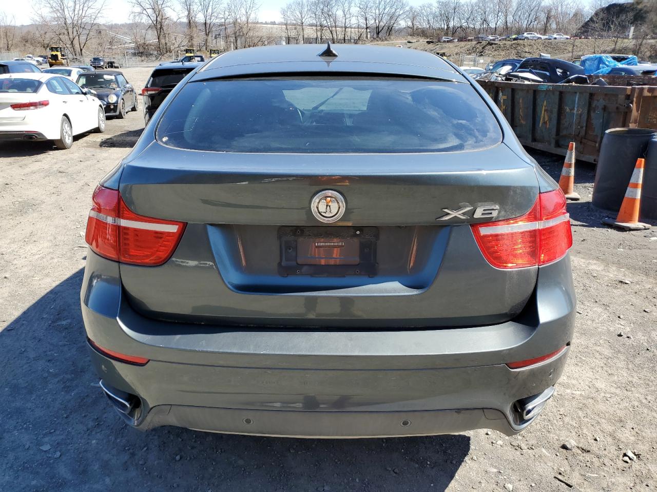 5UXFG8C56ALZ94647 2010 BMW X6 xDrive50I