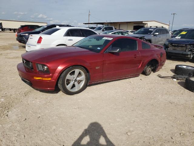 Lot #2428384562 2005 FORD MUSTANG GT salvage car